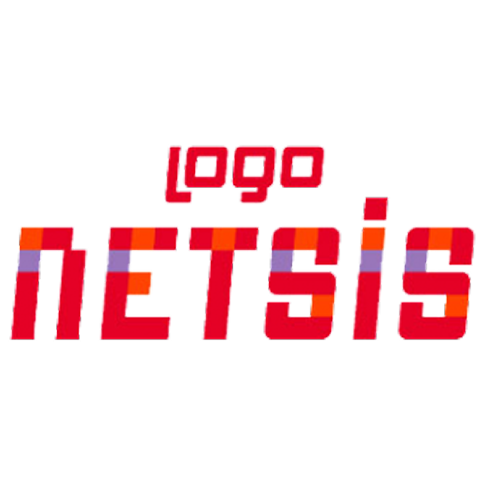 Netsis ERP