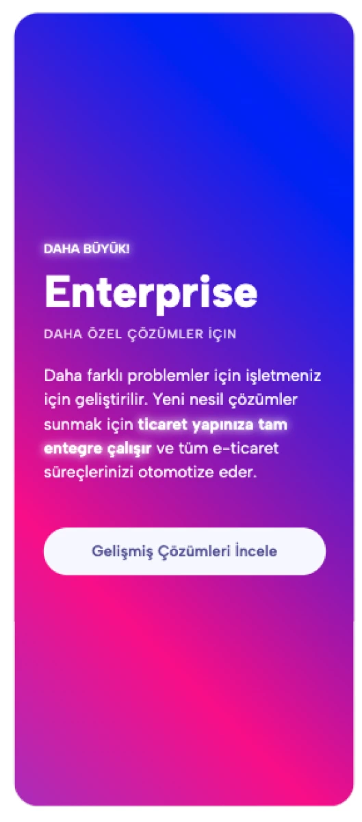 serB2B Enterprise E-Ticaret Paketi