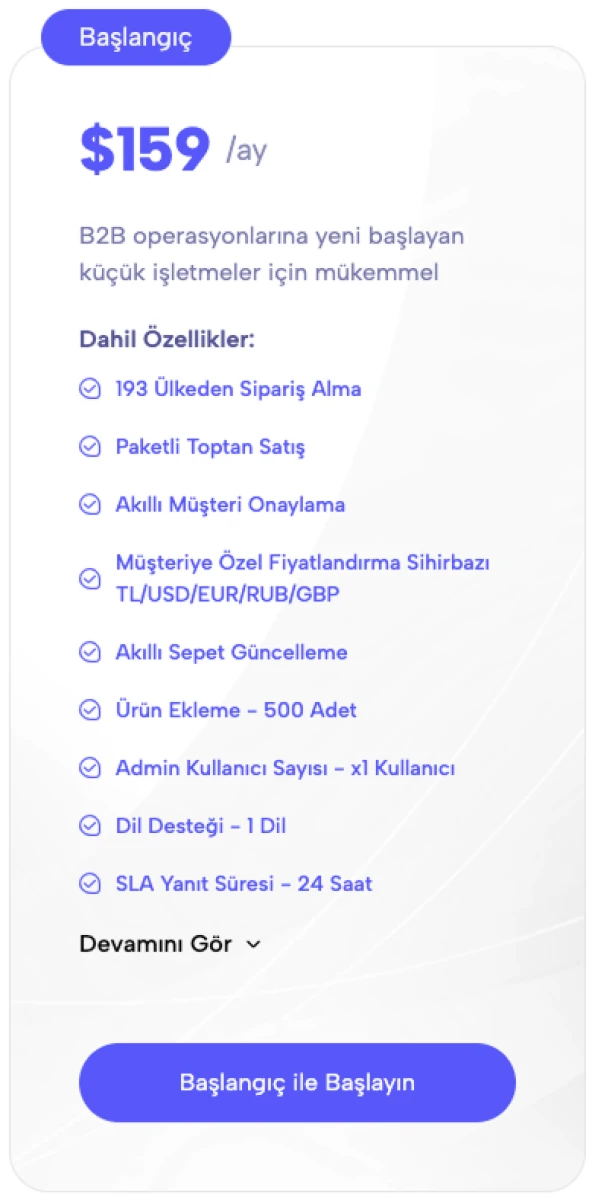 serB2B Standart E-Ticaret Paketi
